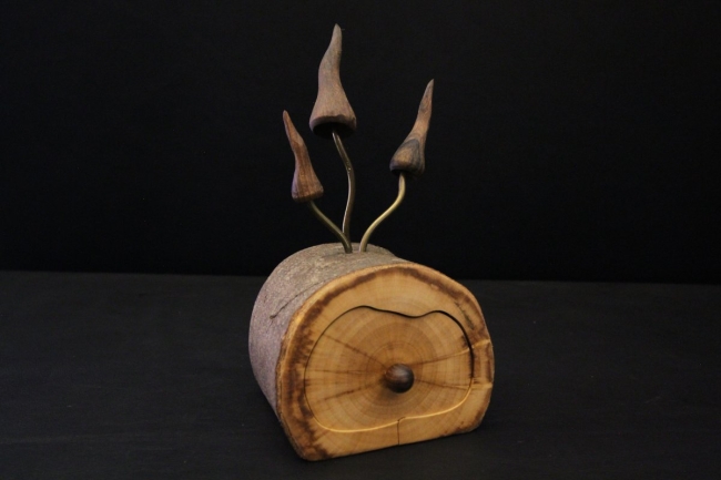 Le Secret des Forêts : Une inspiration de l'invisible