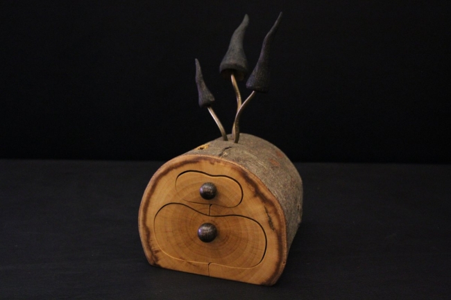 Le Secret des Forêts : Une inspiration de l'invisible