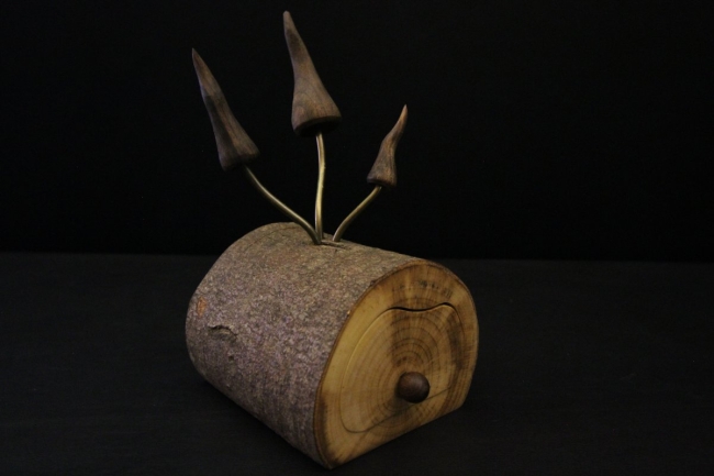 Le Secret des Forêts : Une inspiration de l'invisible