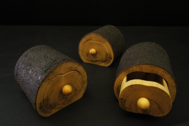 Le Secret des Forêts : Une inspiration de l'invisible