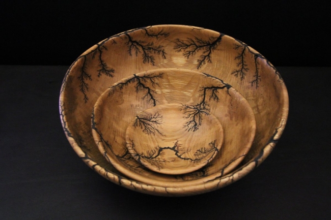 Trio de Hêtre Fractal – L'Âme de l'Arbre